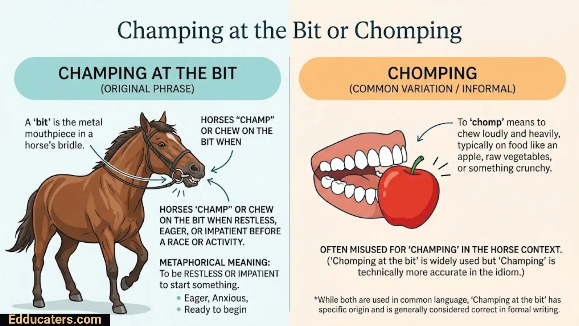 Champing at the Bit or Chomping